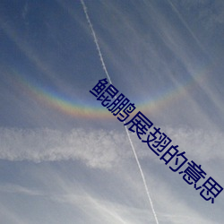 鲲(鲲)鹏展翅的意思