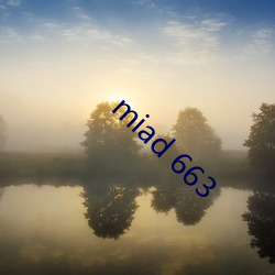 miad 663