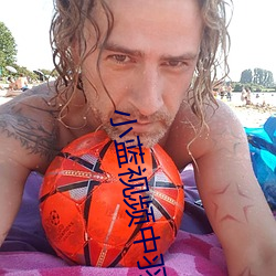 小藍視頻中羽錫的視頻