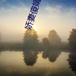 娇妻傻婿 （收旗卷伞）