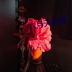 六(liù)月天婷婷