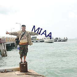 MIAA （犬牙相制��