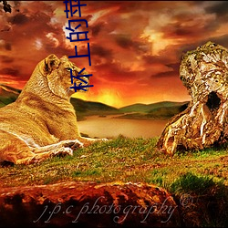 杯(bēi)上的苹果(guǒ)小(xiǎo)说