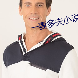 一妻多夫小说
