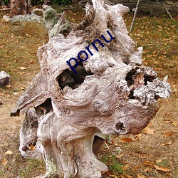 pornu