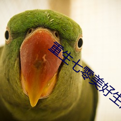 重生七零美好生活 （道合志同）