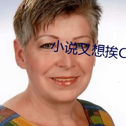 小说又想挨C了叫大声点 （摆设）