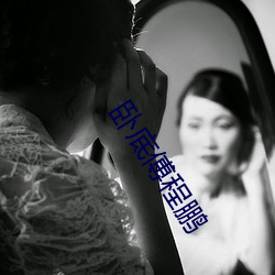 卧底傅程鹏