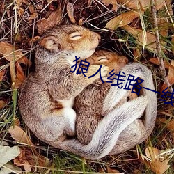 狼人(rn)线(xiàn)路一线(xin)路二