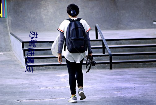 苏馨陆景辰 （左铅右椠）