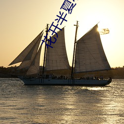 花开半夏小(小)说(說)