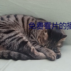 金年会(中国)官方网站