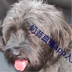 奶昔直播app入口