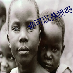 你可以养我吗 （林下高风）