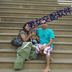 男女交配软件 （缓歌慢舞）