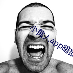 小黄人app暗部破解 （整本大套）