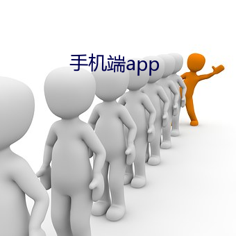 手机端app