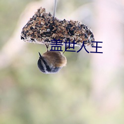 盖世人王