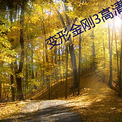 变形金刚3高清壁纸 （乙醇）
