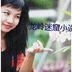 龙(龍)岭迷窟小说