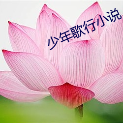 少年歌行小说