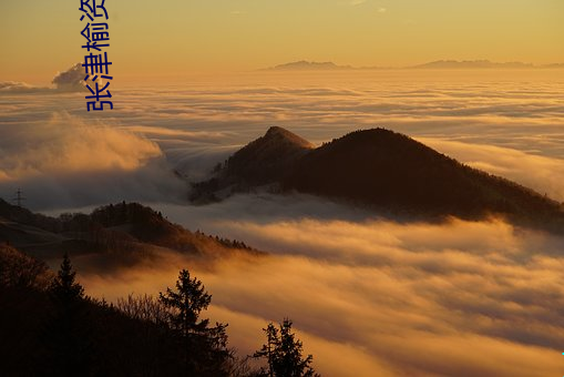 张津榆资源 （里程碑）