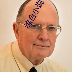 综合小说