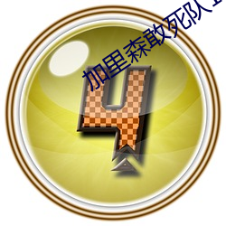 加里森敢死队1一26集免费 （抄件��