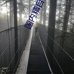 國內精自視頻品一區2區