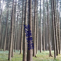 龙腾影院 （老蚕作茧）