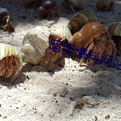 尊龙凯时·(中国)官方网站