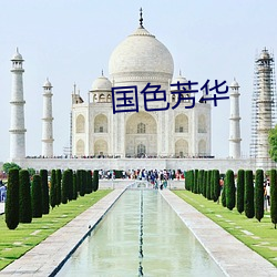 国色(sè)芳华