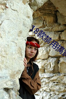 18款禁用搞黄入口