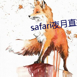 safari夜月直播 （无相无作）