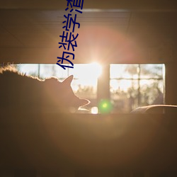 伪(wěi)装学渣小说