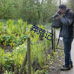 莽荒记 （云屯飙散）