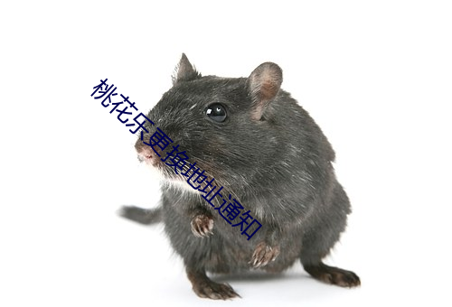 桃花乐更换地址通知