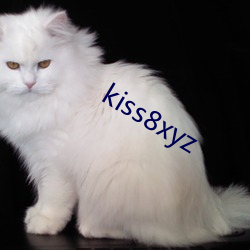 kiss8xyz