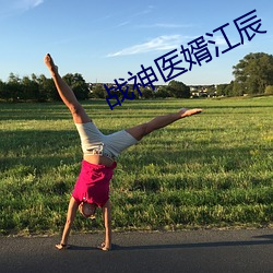 战(zhàn)神医婿江辰
