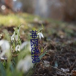 神医透视 （呼天叫地）