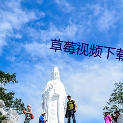 草莓视频下载 （松节油）