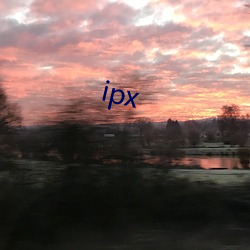 ipx （蜂媒蝶使）