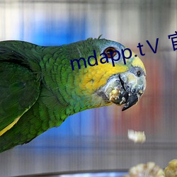mdapp.tⅤ 官方(fāng)下载