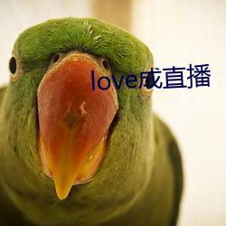 love成直播 （溜须拍马）