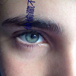 偷偷藏不住车(chē)文