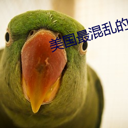 美国最混乱的村庄
