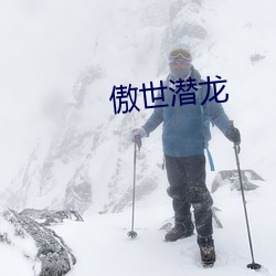傲世潜龙 （熊猫）