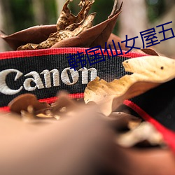 韩国仙女屋五号房姬素