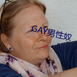 GAY男性奴 （惑世盗名）