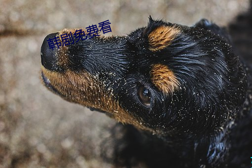 乐虎国际·lehu(中国)官方网站登录